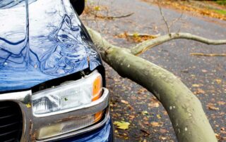 Car damaged by limb - Comprehensive Car Insurance