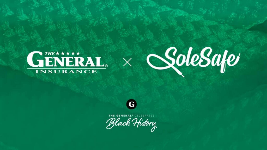 Logo share image - The General Insurance and SoleSafe