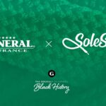 Logo share image - The General Insurance and SoleSafe
